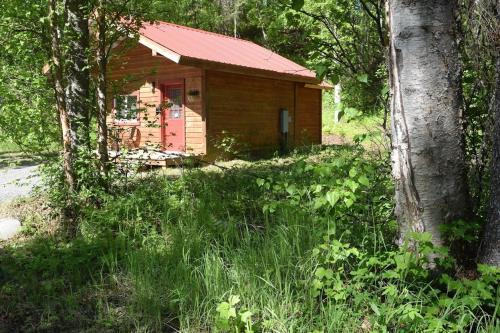 Talkeetna House | Birch Cabin