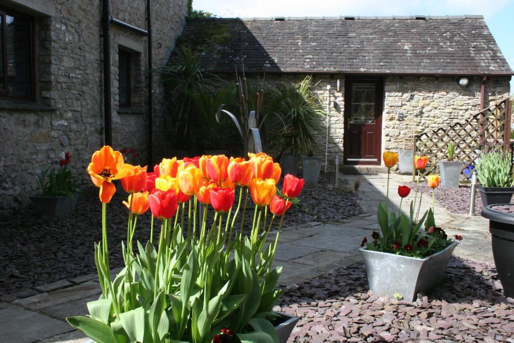 Levens House | Birslack Grange