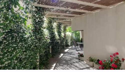 Masade Apartment | Bitra hermon suites