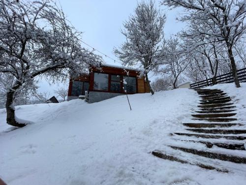 Viseu de Sus House | Biutiful Bungalow