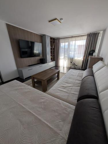 Petrila Apartment | Biverse Prestige