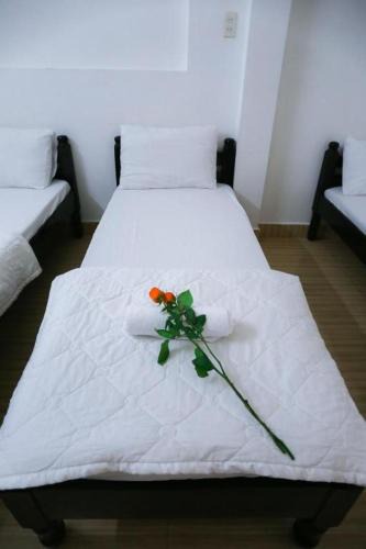 Hue City Centre Hotel | BK48