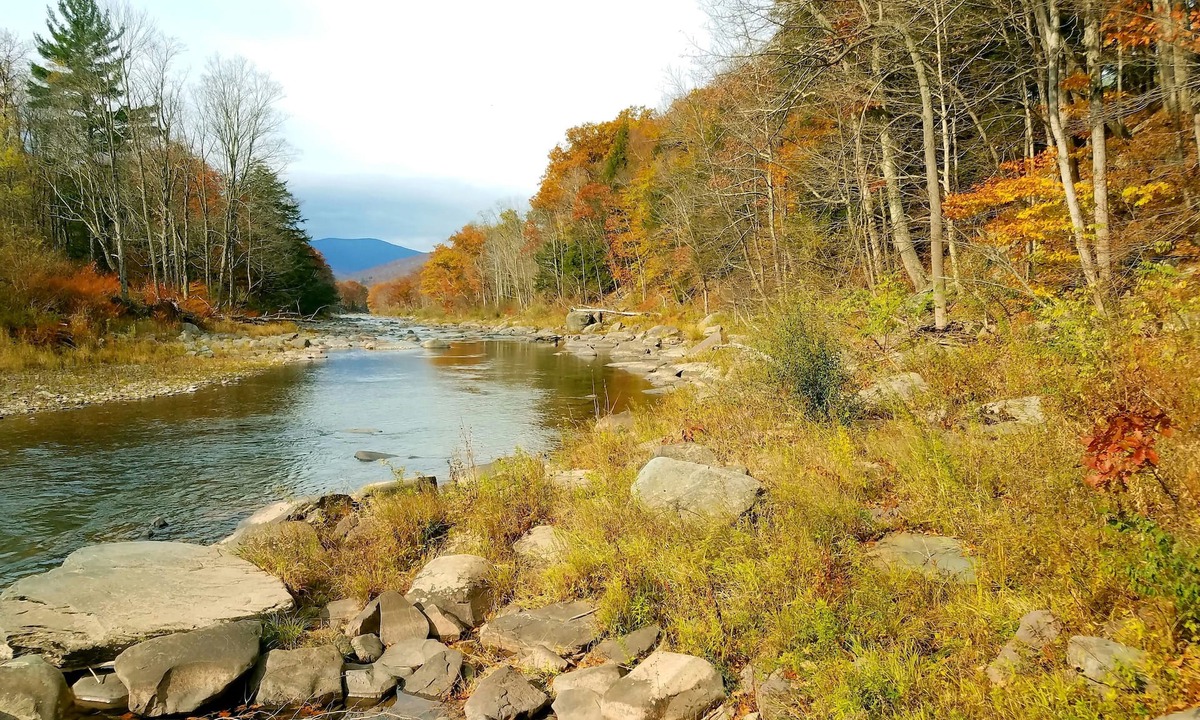 Prattsville Hotel | Black Bear Lodge
