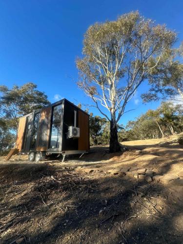 Granton House | Black Snake Sky Box by Tiny Away