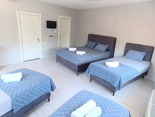 Edirne House | Blacktree Edirne