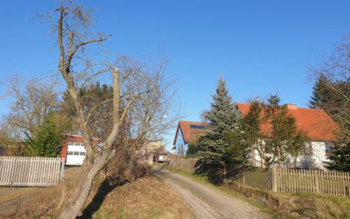 Carlow Apartment | Blaues Haus-Urlaub mit Alpakas oder nur eine schöne Unterkunft in der schaalseergion