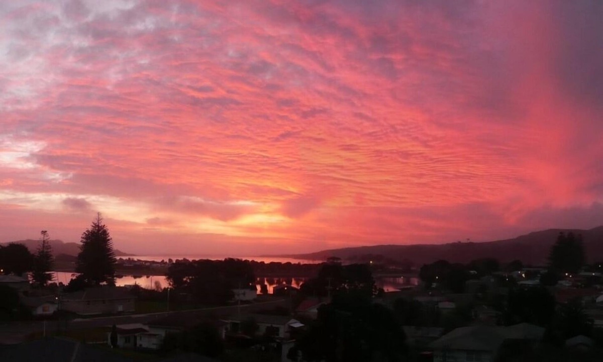 Raglan Apartment | Blue Dolphin Sea Views 3 Minute Walk To Town