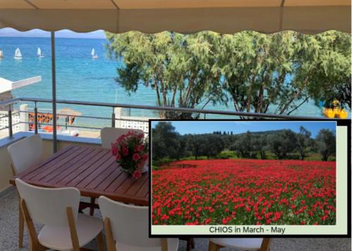 Vrontados Villa | Blue Flag Award Winning Beach: Home 2