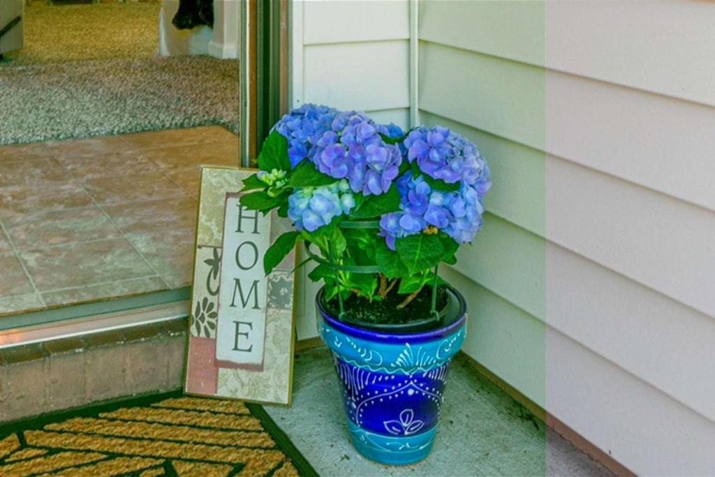 Southside House | Blue Heron