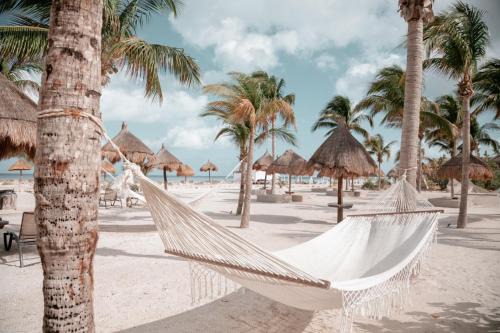 Isla Holbox Hotel | Blue Holbox