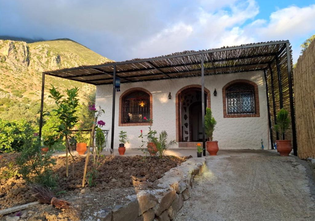 Bab Taza House | blue moon