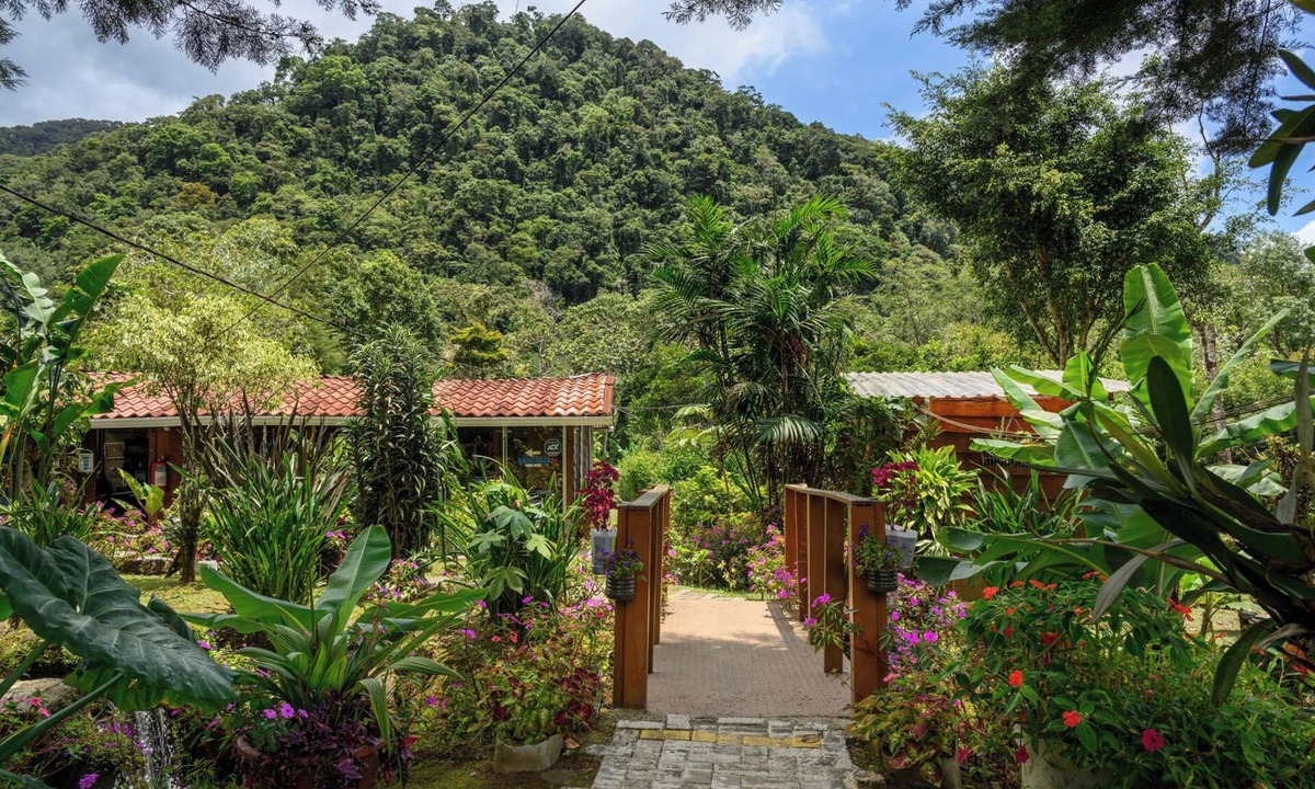 Bajos del Toro Hotel | Blue Morpho Lodge