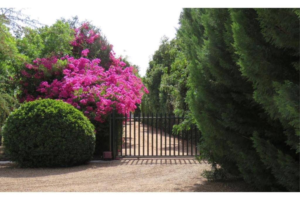 Clanwilliam House | Blue Mountain View Cottages