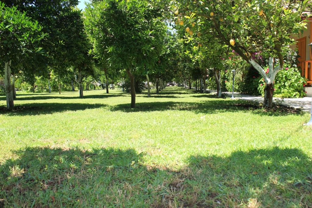 Cirali House | Blue Paradise Pension