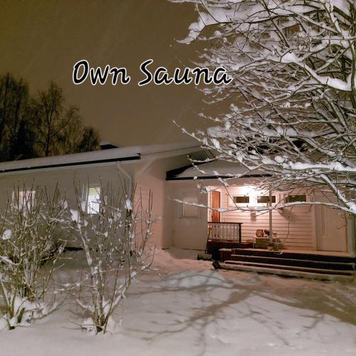 Rovaniemi Villa | Blue River