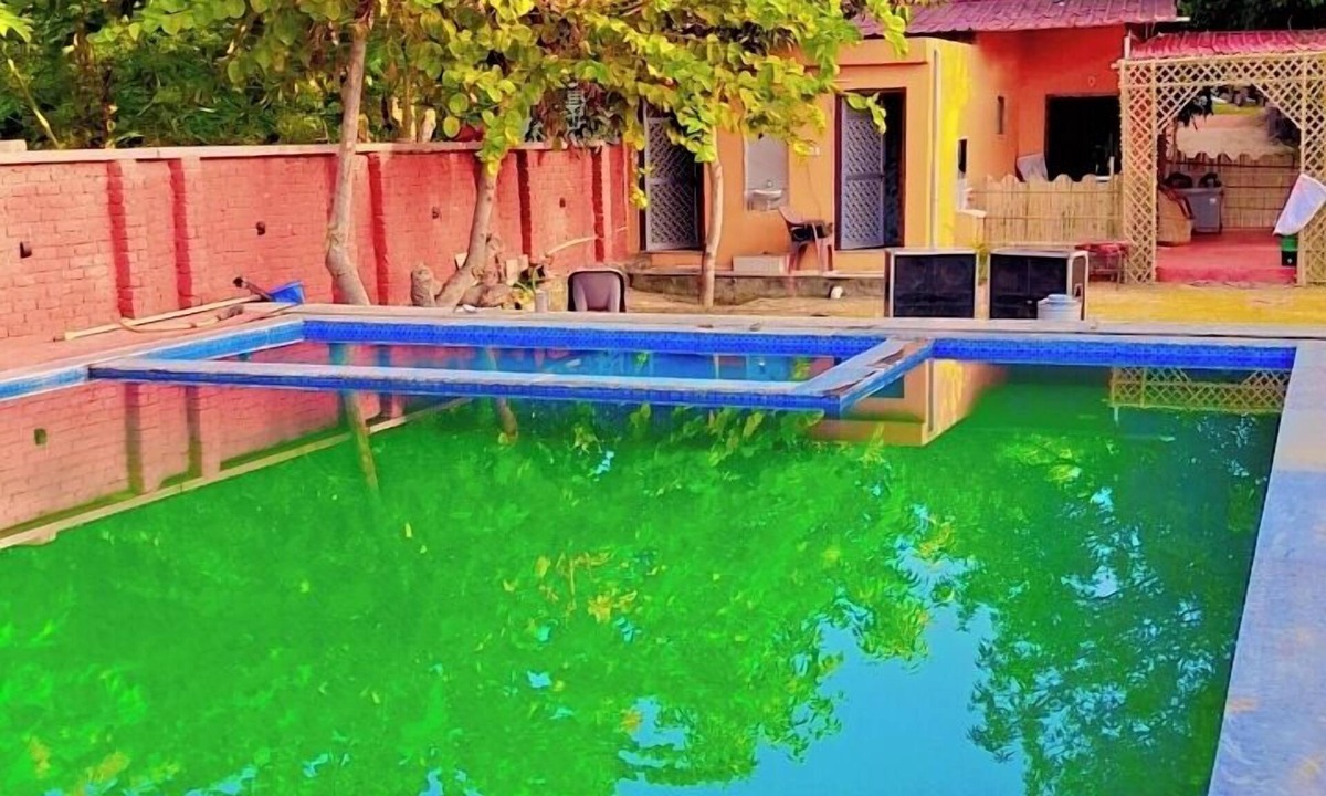 Village Hokra Resort | Blue Tree Resort