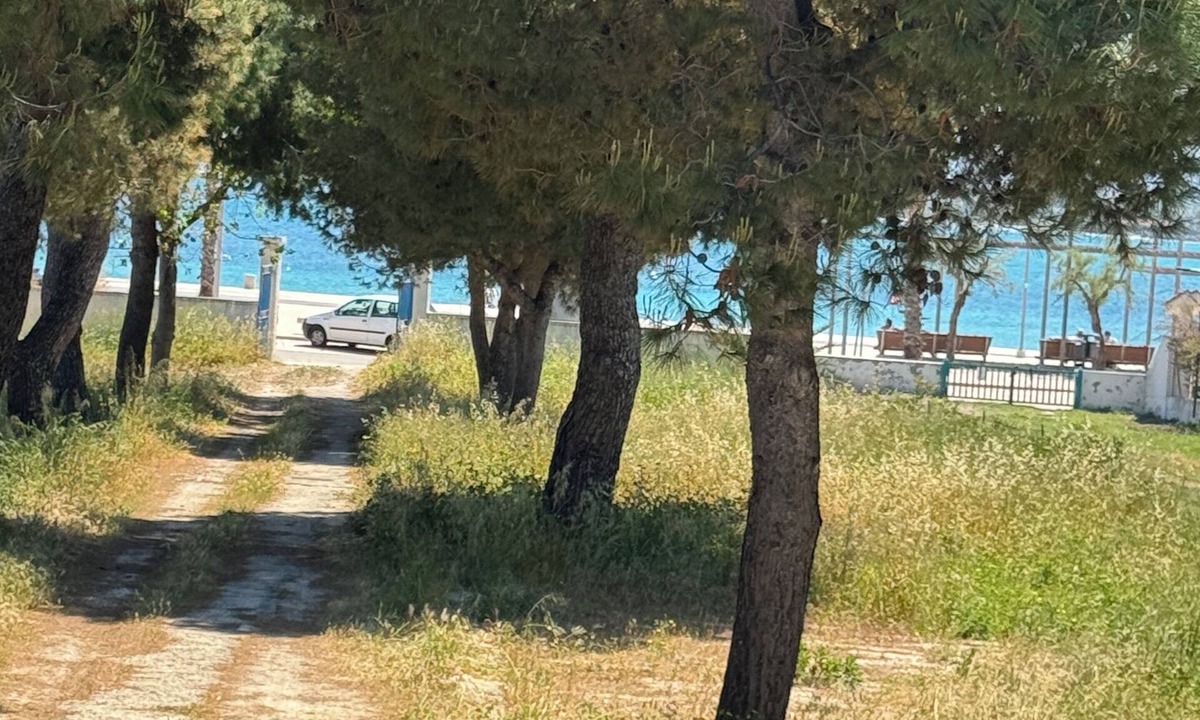 Torre Canne House | 🏡 BlueLoft TorreCanne - Holiday Home by the Sea of Apulia