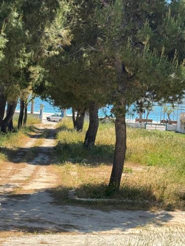 Torre Canne House | BlueLoft TorreCanne
