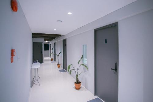 Financial District Singapore Hostel | Bluewaters Collab Quarters