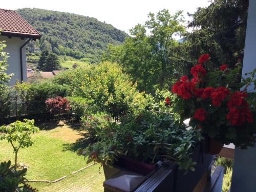 Ravina Bed & Breakfast | BnB Trento