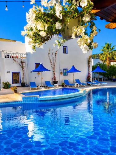 Bodrum City Center Hotel | Bodrum Blu Hotel