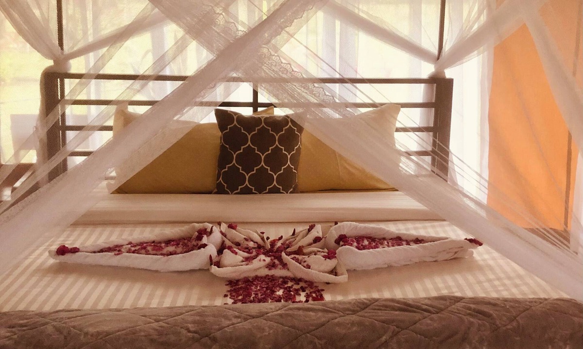 Bouvet Island Hotel | boloti camp resort