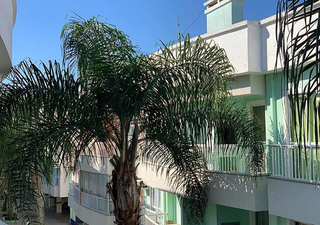 Bombas Apartment | Bombinhas Apartamento Condomínio San Victor 2 Quartos com Piscina