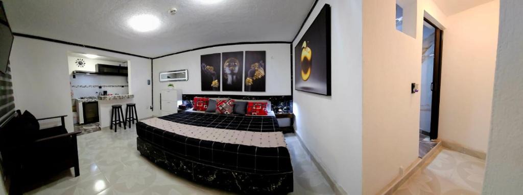 Downtown Cancun Hotel | Book & Sleep Cancun
