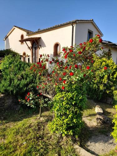 Roccastrada House | Borgo de' Muracci