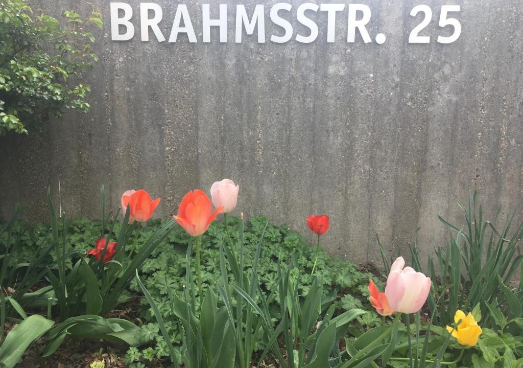 Regensburg House | Brahms 25