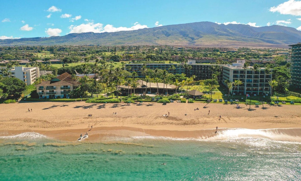 Kaanapali Hotel | Breathtaking Oceanfront Views! 4 Units, Minutes to Pacific Whale Foundation