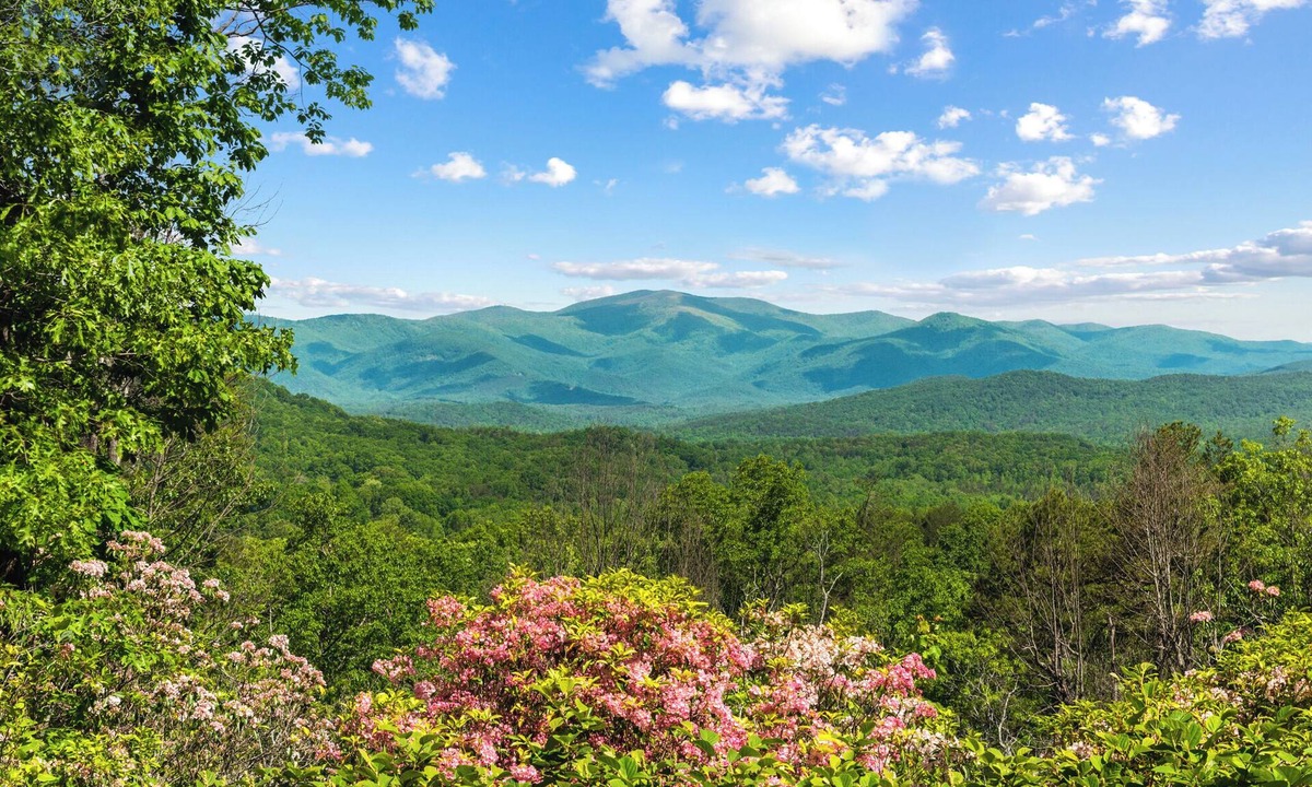 Clarkesville Cabin | Breathtaking Views for Family & Friends to Gather