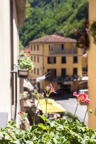 Bagni di Lucca Hotel | Bridge Hotel