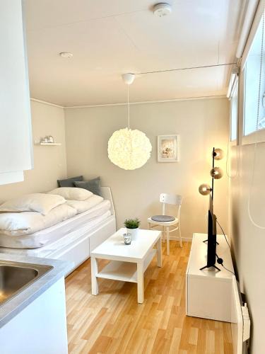 Trondheim Apartment | Bright and cozy studio - newly renovated bathroom and free parking