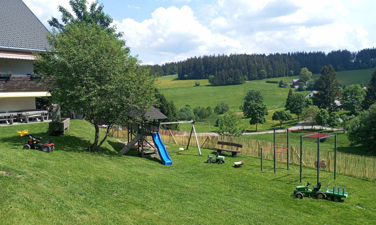 Schoenwald Apartment | Bright Feldberg Apartment on Farm with Private Balcony and Green Views