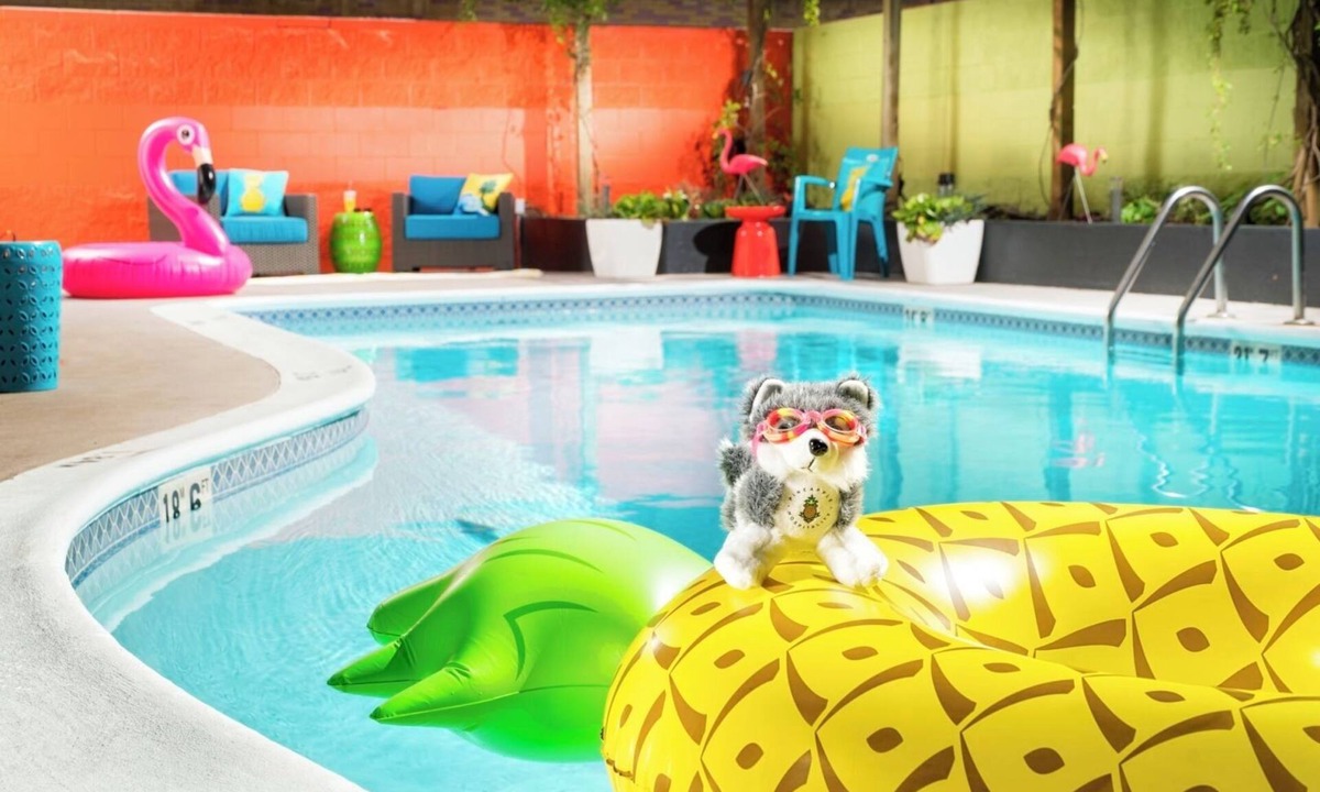 University District Hotel | Bright Two Queen Stay, Near Burke Museum, Staypineapple, 2 Rooms
