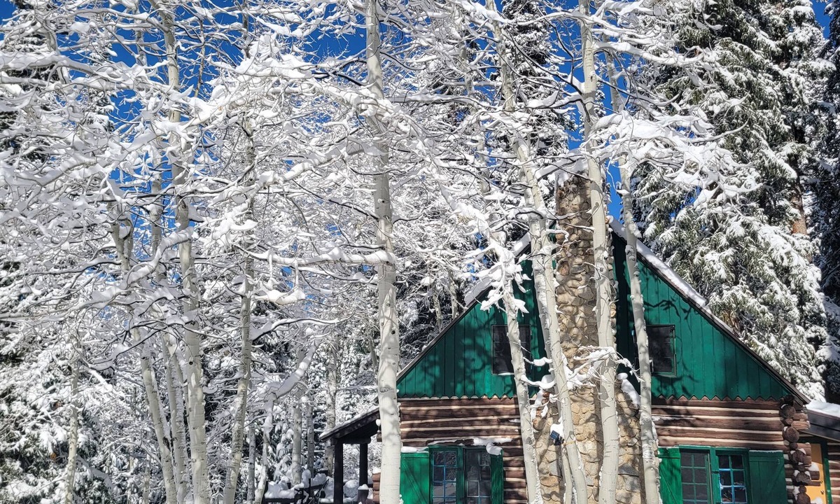 Salt Lake Mountain Resorts Cabin | Brighton Log Cabin. Close to lifts! Free parking.