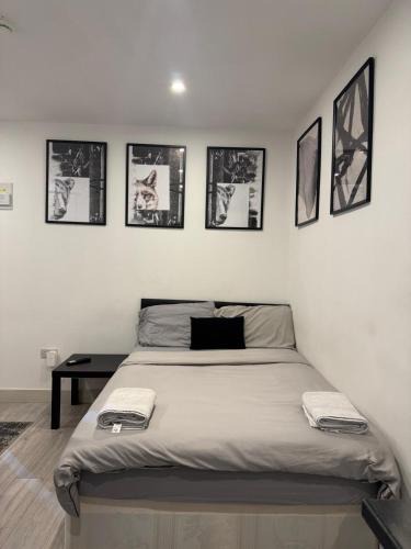 Bensham Manor Apartment | Brigstock 2