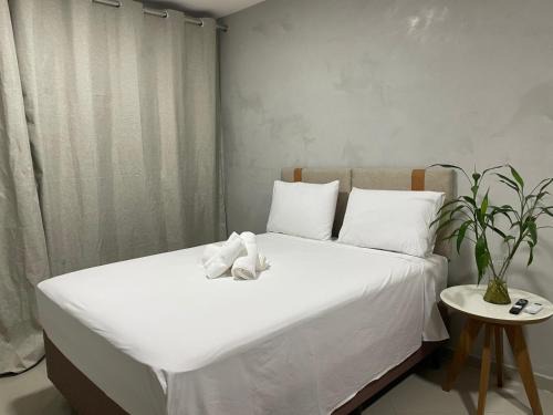 Capim Macio Apartment | Brisa Potiguar Flats