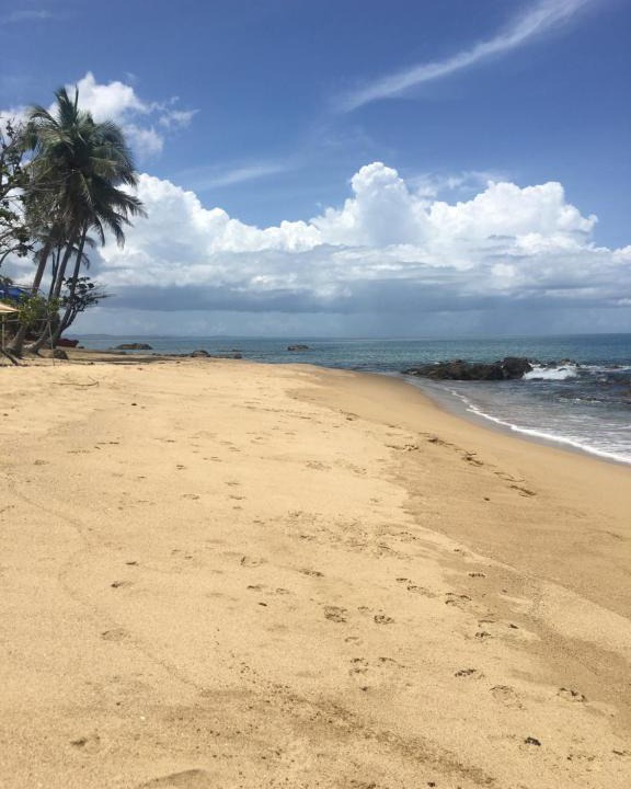 Barrero Apartment | Brisas Del Mar 1/1 Front Beach Apartment