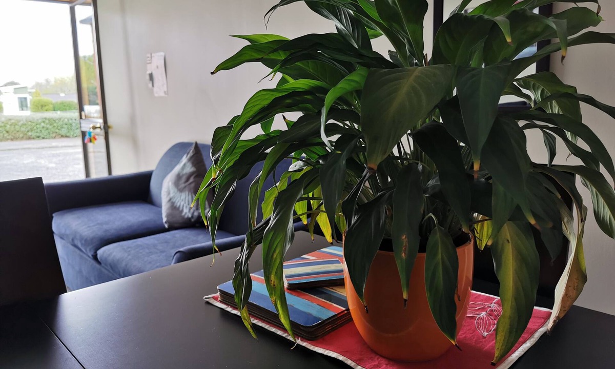 Cheviot Hotel | Broadview Motel