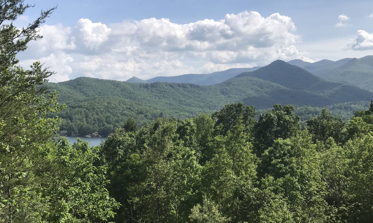 Hiawassee Cabin | Brown Bear Hideaway, Beautiful Mtn View, Screen Porch, King, 2 miles to town