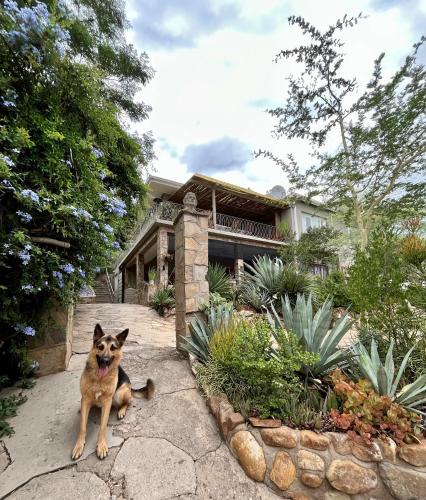 Windhoek Apartment | Bryan's View