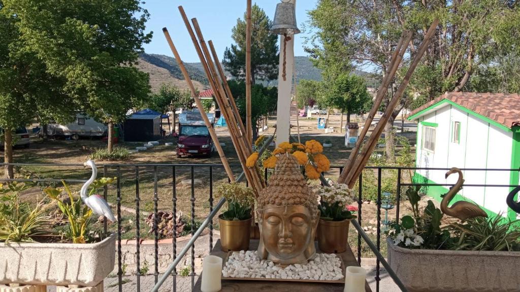 Manzanera Other | Buda de Gudar