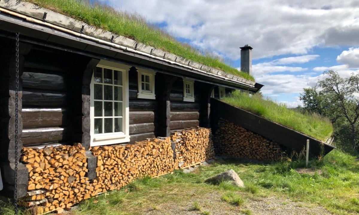 Hol Municipality Cottage | Budalen, spacious cabin close to skitracks