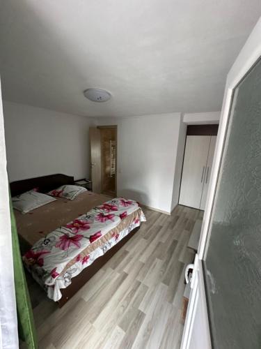 Curtea De Arges House | Budan 3 Rooms