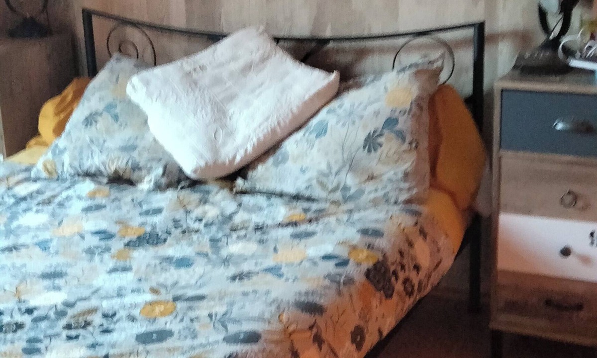 Teloche Bed & Breakfast | Bugatti 5km from Mulsanne bend, Bercé equestrian center.