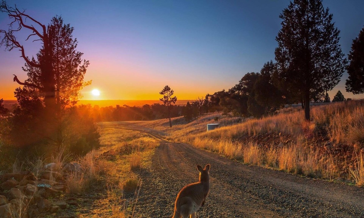 Cumboogle House | Bulwarra Accommodation - Heritage Studio
