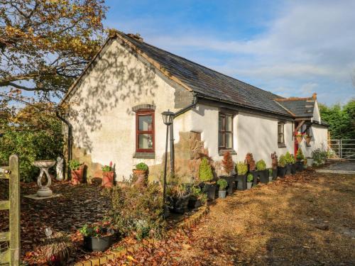 Mynydd Isa House | Burnt Oak Stables