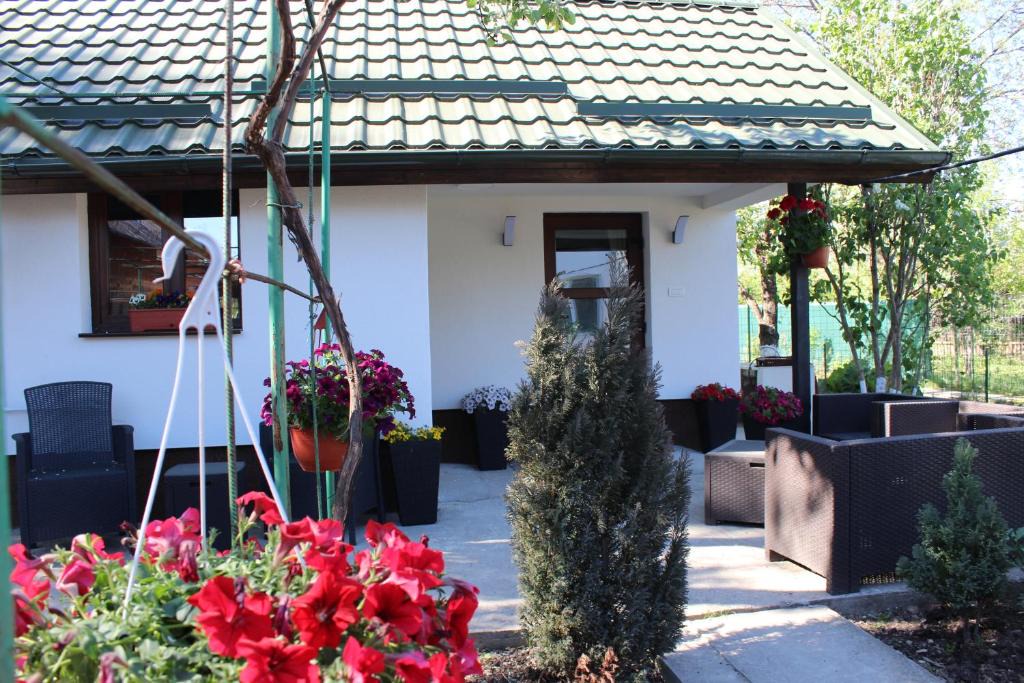 Breaza House | Căsuța artiștilor